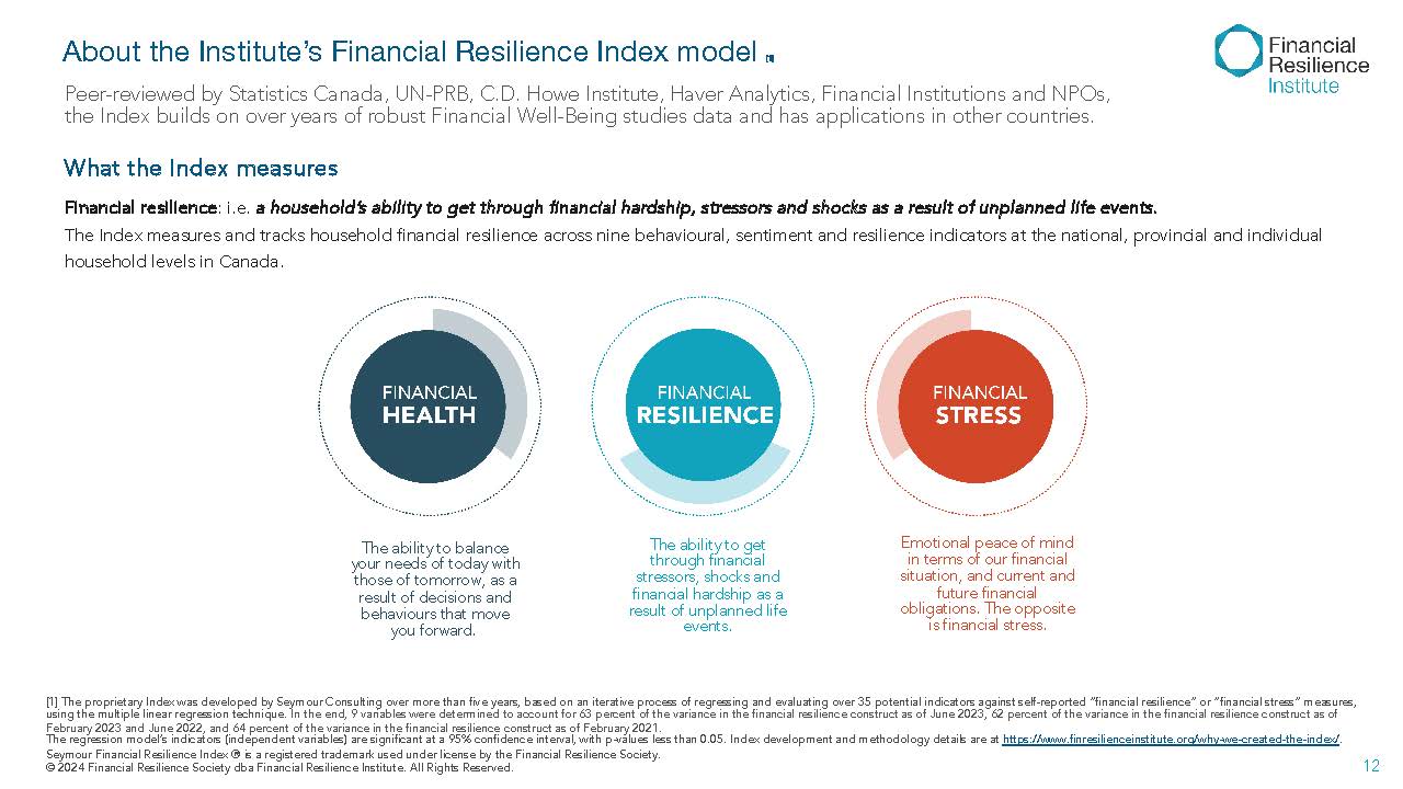 Diagram explaining Financial Resilience Index measures: Financial Health, Resilience, and Stress